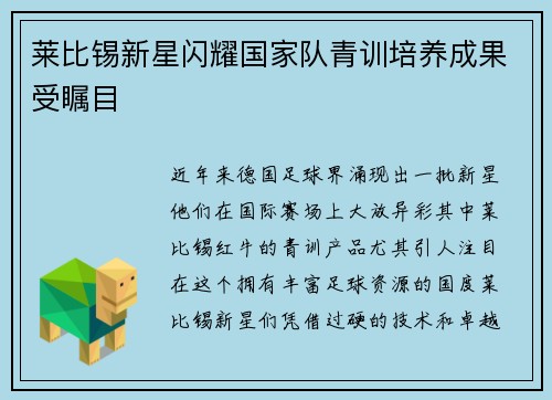 莱比锡新星闪耀国家队青训培养成果受瞩目